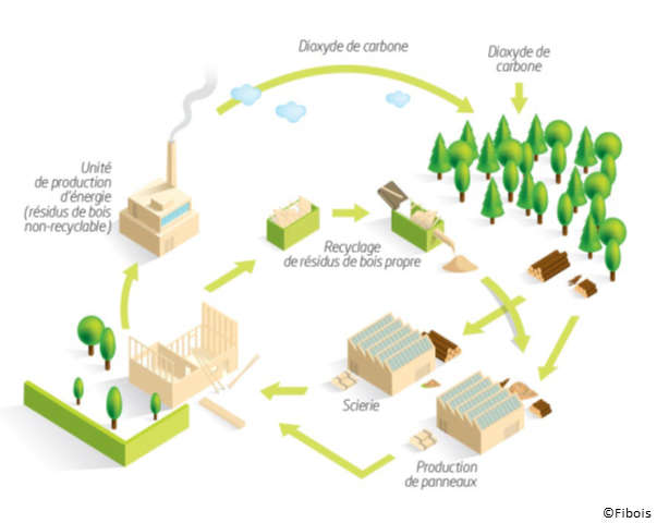 Flux de carbone et de matière de la filière bois