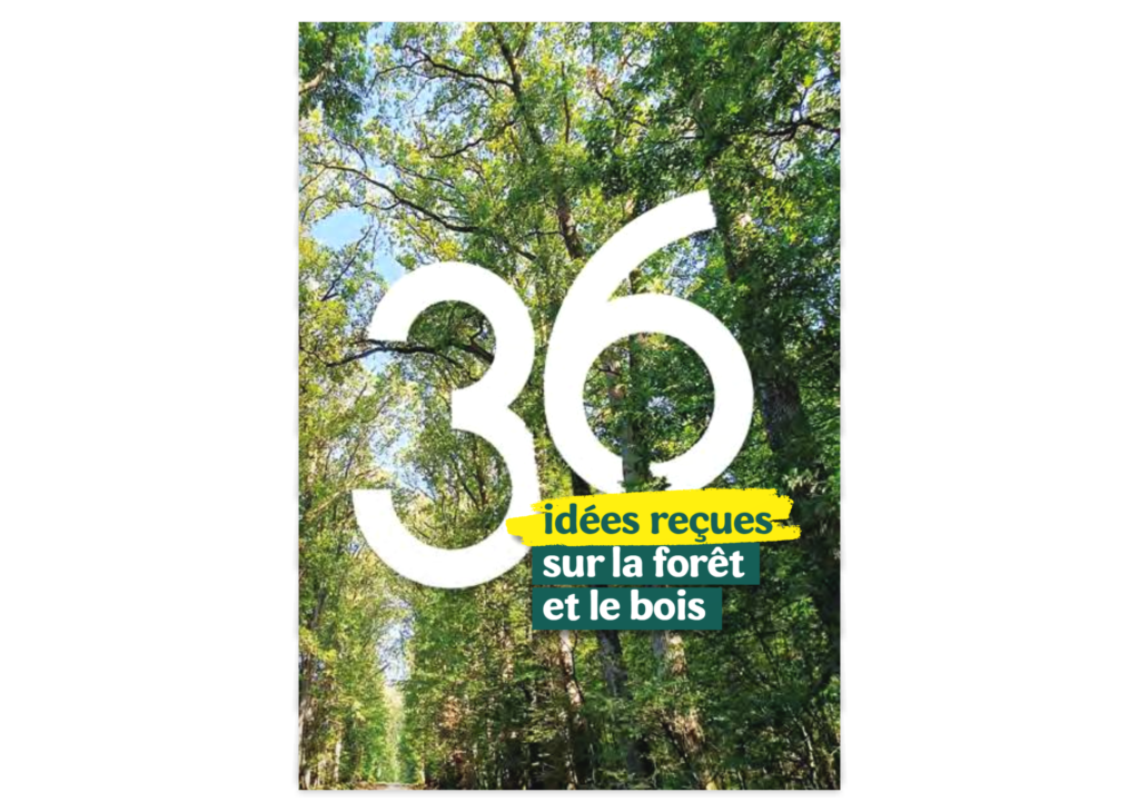36 idées reçues sur la forêt et le bois